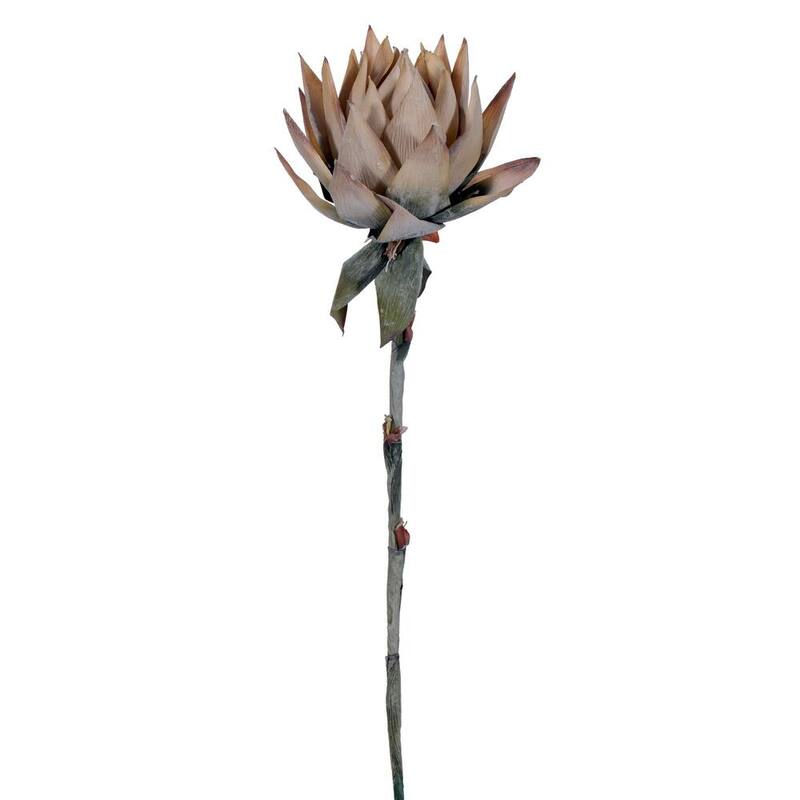 Vickerman 37" Cream Dried Artificial Protea Stem 2/Bag. Bed Bath & Beyond 39942630